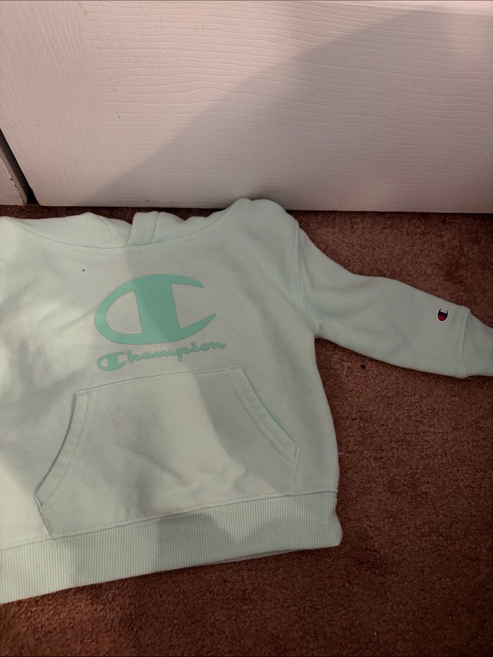 Baby’s Champion Mint Green Logo Hoodie